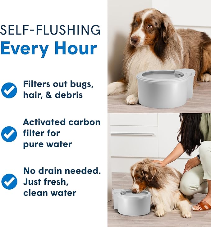 Always Full® 9" Pet Water Bowl and Bottle Pump Bundle, Self-Refilling, Clean Filtered Water, App-Enabled Hydration Monitoring, Easy Upgrade to Wall Unit, Cat and Dog Water Bowls-Mewly Pet
