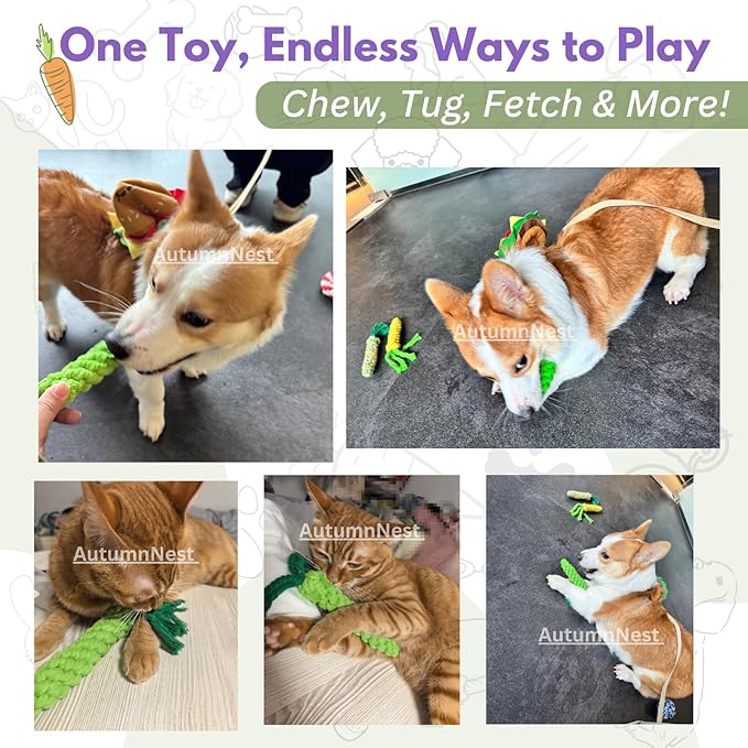 3PCS Green Woven Pet Chew Set, Dog Chew Accessories, Cat Interactive Chews, Safe & Durable Braided Chews for Dogs, Cats & More Pets-Mewly Pet