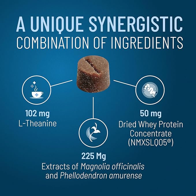 Nutramax Solliquin Calming Behavioral Health Supplement for Large Dogs - with L-Theanine, Magnolia/Phellodendron, and Whey Protein Concentrate, 75 Soft Chews-Mewly Pet