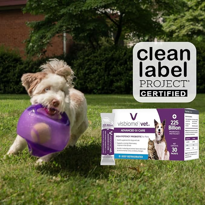 Visbiome® Vet Advanced GI Care Probiotic for Dogs & Cats – 225B CFU, 8-Strain Formula – Veterinarian Recommended, Clean Label Certified – 90 Packets-Mewly Pet