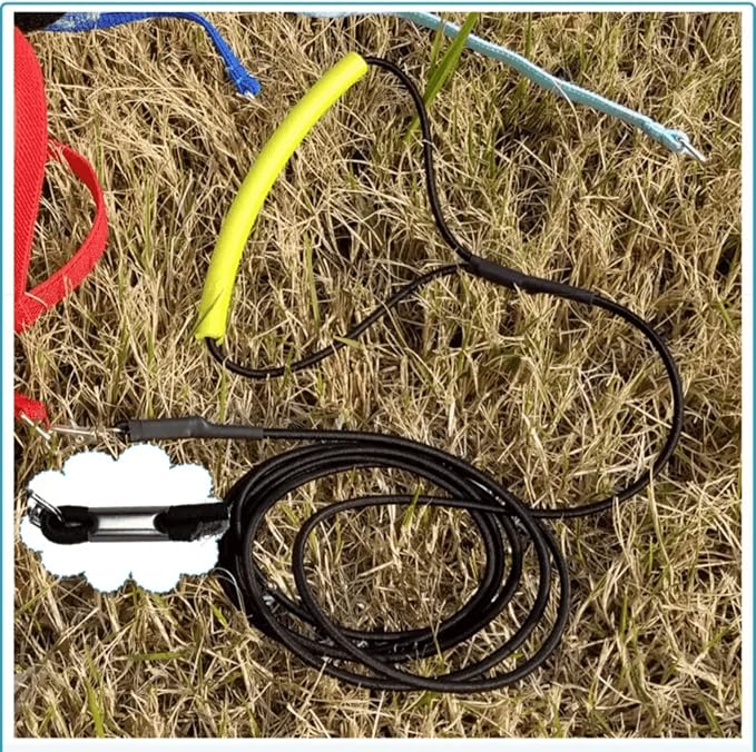 Pet Parrot Bird Harness Leash Adjustable Bird Flying Harness Traction Rope with Cute Wing for Parrots Pigeons Budgerigar Lovebird Cockatiel Mynah Outdoor Training Toy (XL, Purple)
