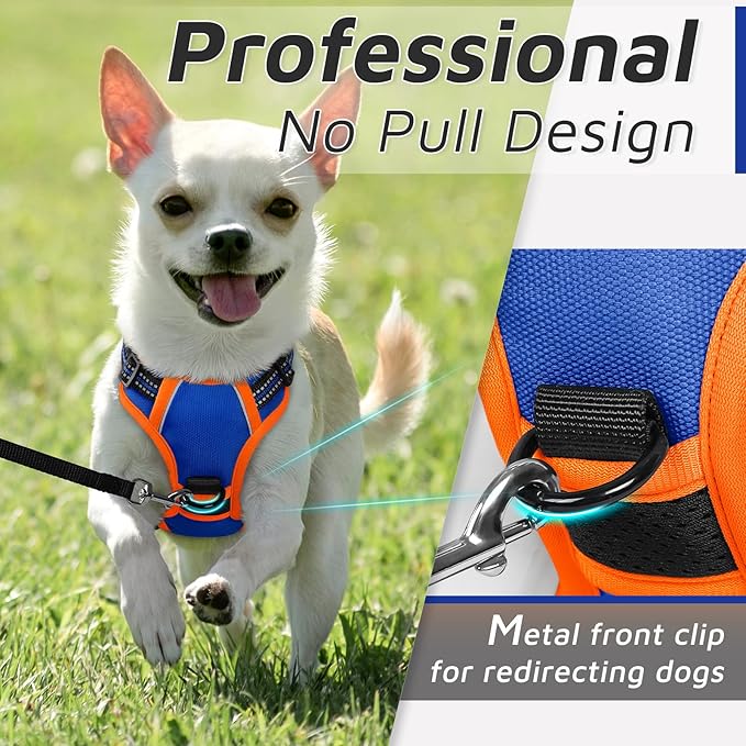 Eagloo Small Dog Harness No Pull, Service Vest with Reflective Strips and Control Handle, Adjustable and Comfortable for Walking, No Choke Pet Harness with 2 Metal Rings, Blue & Orange, XS-Mewly Pet