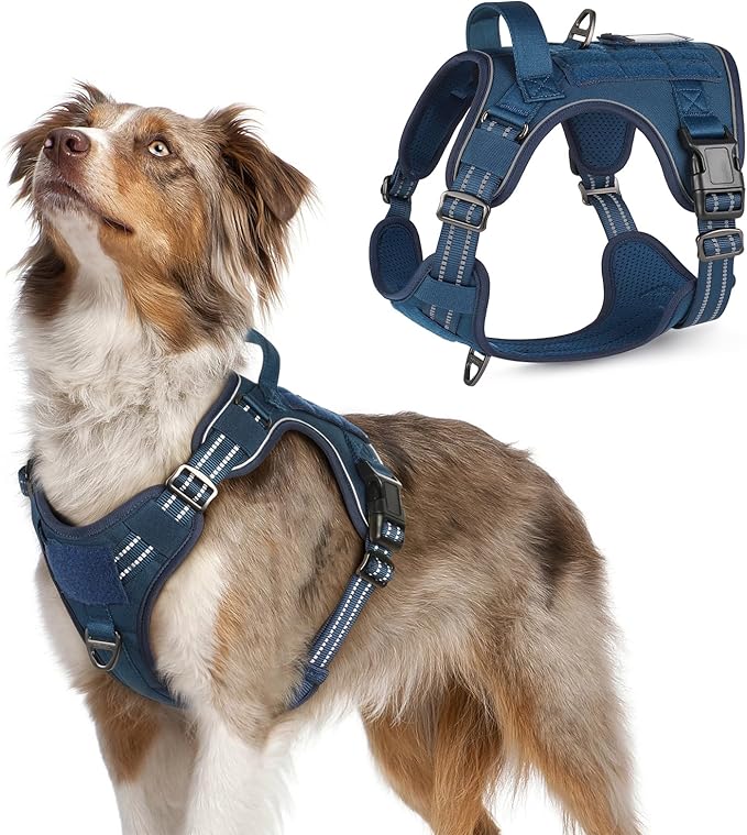 rabbitgoo Dog Harness No Pull, Military Dog Harness Medium Sized Dog with Handle & Molle, Easy Control Service Dog Vest Harness Training Walking, Adjustable Reflective Tactical Pet Harness, Blue, M-Mewly Pet