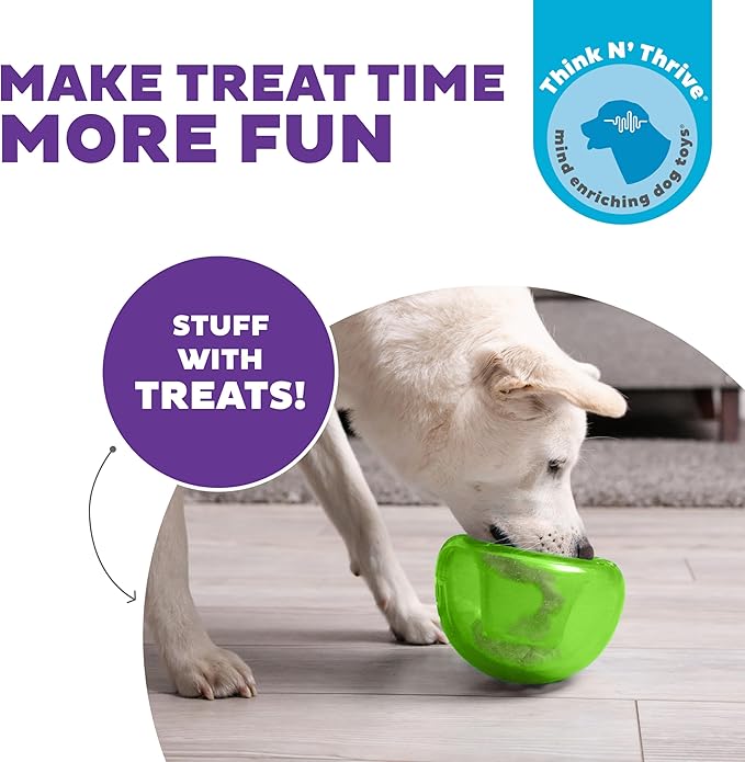 Outward Hound by Planet Dog Snoop Durable Interactive Treat Dispensing Dog Toy, Large, Green-Mewly Pet