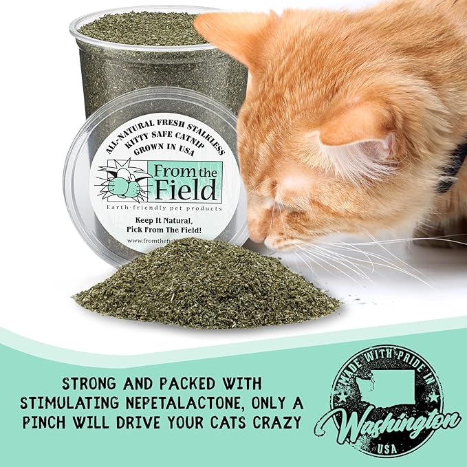 from The Field | Fine Ground Stalkless Catnip | Premium USA-Grown Catnip for Toys & Playtime | Fresh, Potent, Non-Toxic, Eco-Friendly | Safe for Kittens & Cats | Resealable 6 oz Tub-Mewly Pet