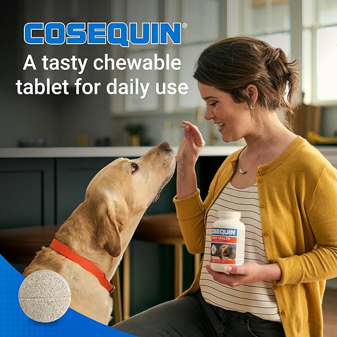 Nutramax Cosequin for Dogs Joint Health Supplement, Contains Glucosamine for Dogs, Plus Chondroitin and MSM, Supports Healthy Joints, For All Breeds and Sizes, Chewable Tablets, 132 Count-Mewly Pet