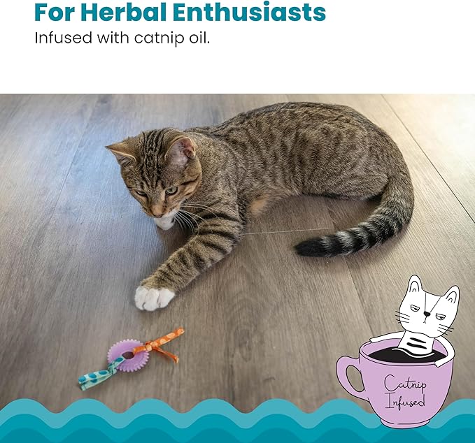 Catstages Kitty Chew Wheel, Dental Cat Toy with Catnip Oil, Teeth Cleaning, Healthy Chewing, Boredom Relief, Kicking & Batting for Kittens and Adult Cats, Purple-Mewly Pet