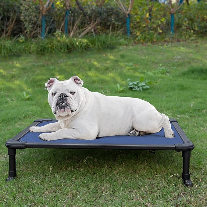 Veehoo Chew Proof Elevated Dog Bed - Cooling Raised Pet Cot - Rustless Aluminum Frame and Durable Textilene Mesh, Unique Designed No-Slip Feet for Indoor or Outdoor Use, Blue, Medium, CWC2002-Mewly Pet