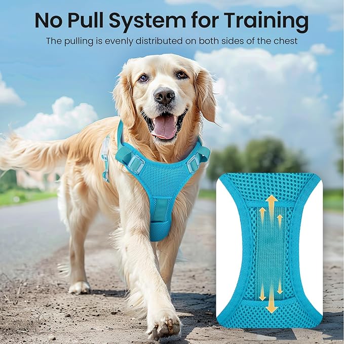 Light Up Dog Harness,Reflective Pet Harness Rechargeable,Led Dog Vest for Night Walking,Adjustable Safety Vest for Small Medium Large Dogs-No Pull,Blue,S-Mewly Pet