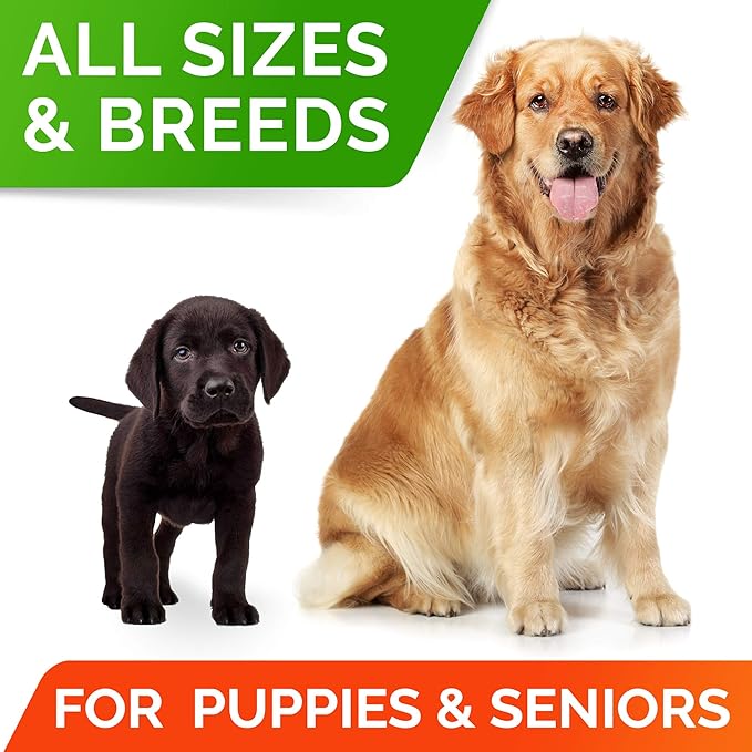 StrellaLab Pet Probiotics for Dogs & Digestive Enzymes - Digestion & Gut Health Treats, Dog Probiotics Chews, Fiber Supplement, Anti Diarrhea, Constipation, Upset Stomach&Gas Relief, Canine Prebiotic-Mewly Pet