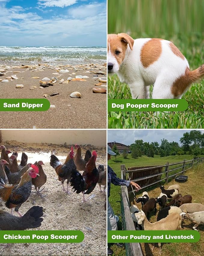 Large Chicken Poop Scooper, Chicken Coop Accessories,Metal Litter Scooper For Chicken,Chicken Coop Cleaning Tools,Heavy Duty Poop Shovel For Chicken Coop Accessories,Chicken Coop Must Haves (Black)-Mewly Pet