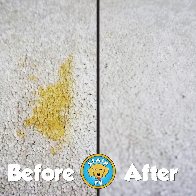 Pet Stain Odor Remover Professional Strength Powerful Eliminator for Tough Dog Cat Pet Urine Pee Poop Feces Vomit Slobber Drool Blood Wine Coffee Home Kennel Car RV Office (1 Gallon)-Mewly Pet