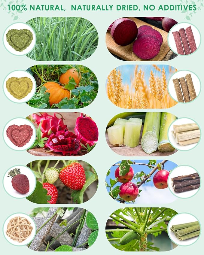 ERKOON 53 Bunny Chew Toys for Rabbits Teeth, Natural Rabbit Toys Apple Wood Sticks, Carrot, Timothy Grass for Small Pets, Hamster, Chinchilla, Guinea Pig Dental Care and Treat Teething(53)-Mewly Pet