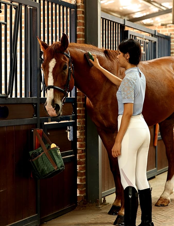 11PCS Horse Grooming Kit Curry Comb Sweat Scraper Horse Bathing Supplies Grooming Tools with Storage Bag Pasture Glow-Mewly Pet