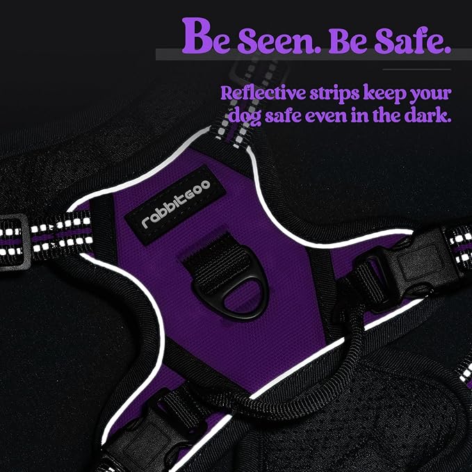 rabbitgoo Dog Harness No Pull with 2 Leash Clips, Adjustable Soft Padded, Reflective Oxford No Choke Pet Vest with Easy Control Handle for Puppy, Purple,XS-Mewly Pet