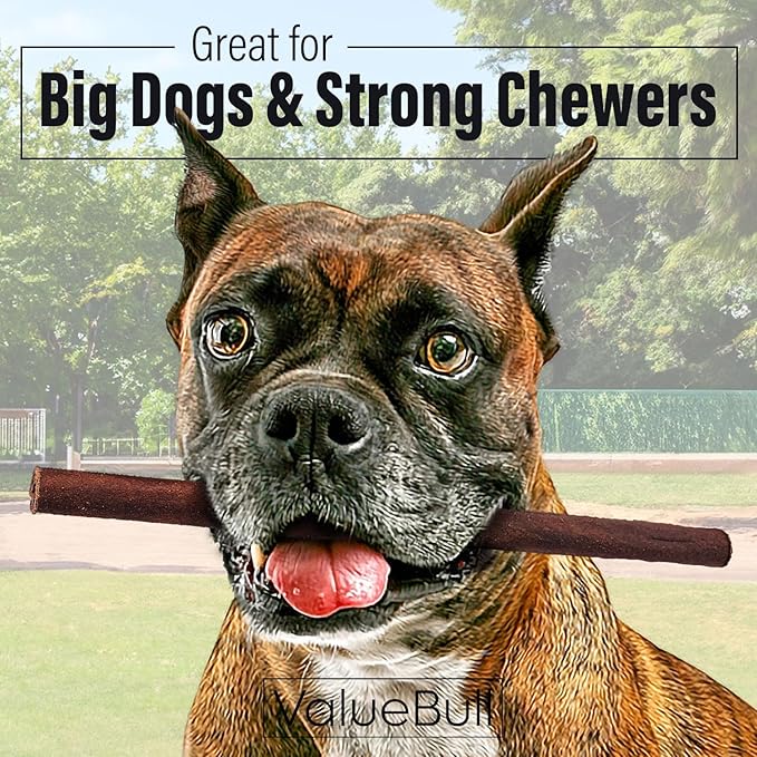 ValueBull Collagen Sticks for Dogs, 12 Inch Thick Chews, Natural Long-Lasting Dog Treats, 100 Count Bulk Pack - Supports Joints, Skin & Coat with Chondroitin & Glucosamine-Mewly Pet