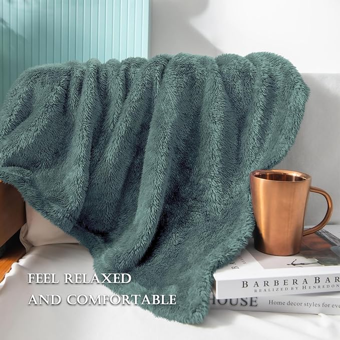 Exclusivo Mezcla Plush Fuzzy Fleece Bed Blanket Queen Size, Super Soft, Fluffy and Warm Blankets Suitable for All Seasons (Celadon, 90x90 Inches)