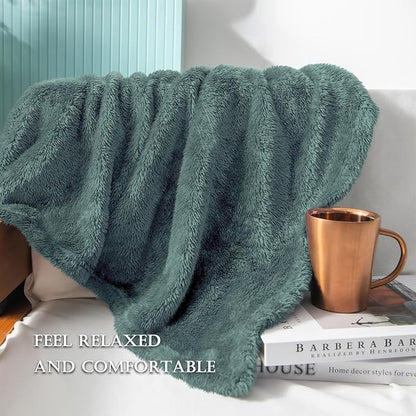 Exclusivo Mezcla Plush Fuzzy Fleece Bed Blanket King Size, Super Soft, Fluffy and Warm Blankets, Suitable for All Seasons (Celadon, 90x104 Inches)