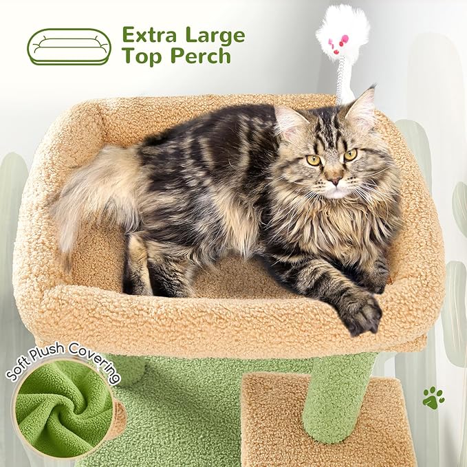Globlazer Cactus Cat Tree Tower for Indoor Cats, 50-inch Adult Cat Tree House for Large Adult Cats with Steps, Scratching Post, 2 Cat Caves, Dangling Toys, FC50, Green-Mewly Pet