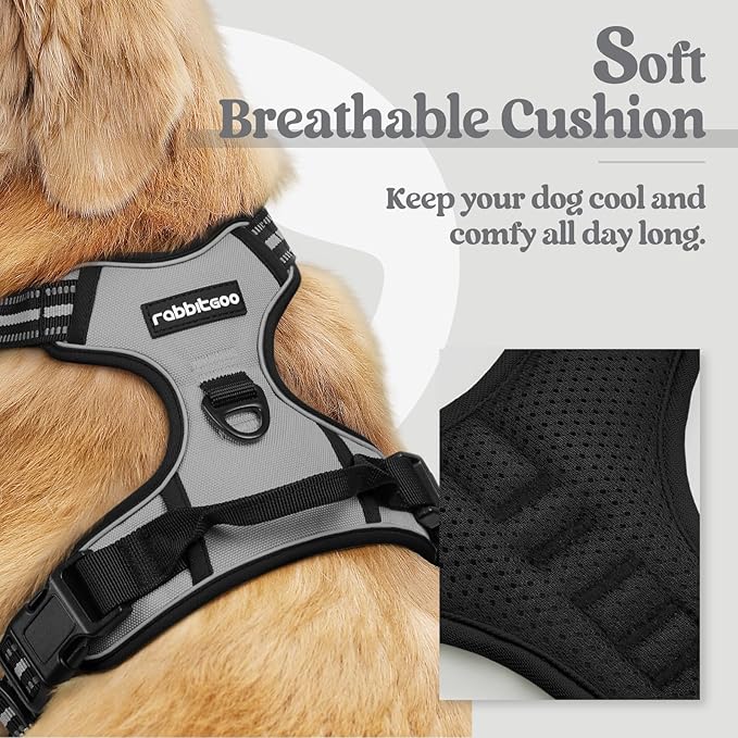 rabbitgoo Dog Harness No Pull with 2 Leash Clips, Adjustable Soft Padded, Reflective Oxford No Choke Pet Vest with Easy Control Handle for Large Dogs, Grey, L-Mewly Pet