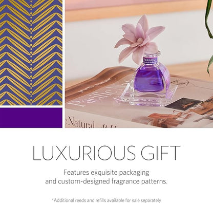AGRARIA PetiteEssence Flower and Reed Diffuser Set, Hand Crafted Sola Flower Botanical Home Fragrance Set, Scented Oil Gift for All Occasions