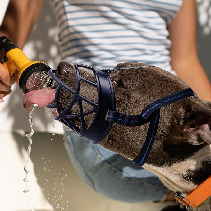 Dog Muzzle, Breathable Basket Muzzles for Small, Medium, Large and X-Large Dogs, Prevent Barking, Biting, Chewing Dog Mouth Cover-Mewly Pet