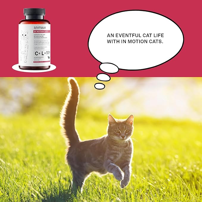 animaux - in Motion Cats, Green-lipped Mussel, Devil's Claw, Rose Hip & Ginkgo, Support for Bones, Joints, Cartilage, tendons, with Hyaluron, Collagen, 90 chewable Tablets, 90 Days Supply-Mewly Pet