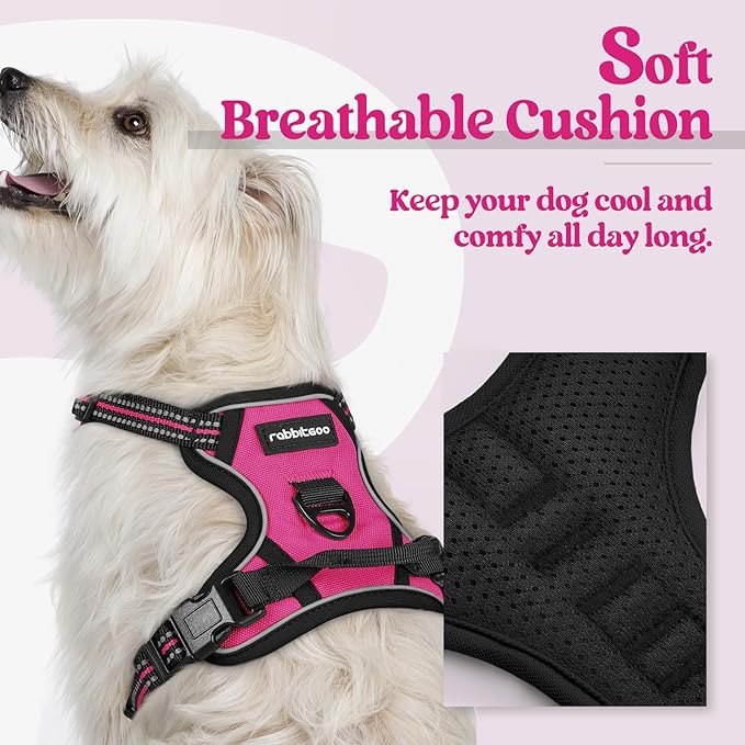 rabbitgoo Dog Harness No Pull with 2 Leash Clips, Adjustable Soft Padded, Reflective Oxford No Choke Pet Vest with Easy Control Handle for Puppy, Hot Pink, XS-Mewly Pet