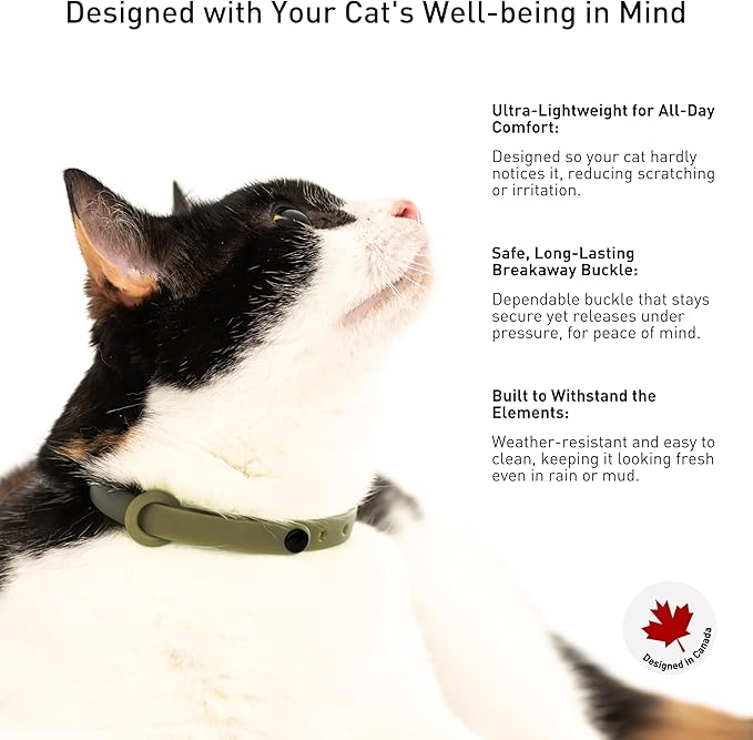 Breakaway Cat Collar - Soft, Comfortable, and Lightweight Safety Buckle Collar with Name Tag Ring for Outdoor Cats and Sensitive Skin Kittens by Nuvuq (6 ⅞" to 10 ¼", Green)-Mewly Pet