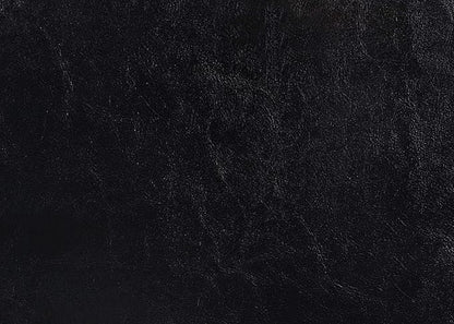 Crown Mark Erin Upholstered Panel Bed in Black, King