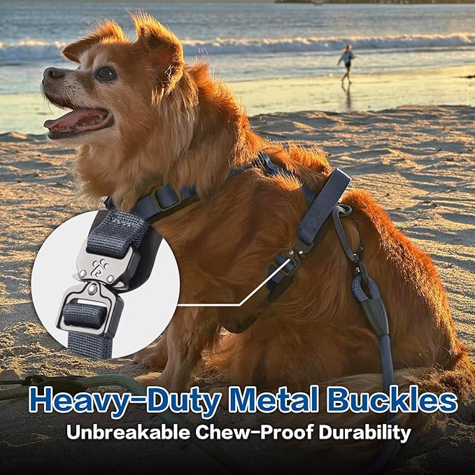 CLEPAWS Dog Harness for Medium Dogs, No Pull Dog Harness Easy Walk with Metal Hardware, Ergonomic Y-Shaped Design, Soft Padding, Padded Handle, Durable High-Tensile Nylon (Nightfall, M)-Mewly Pet