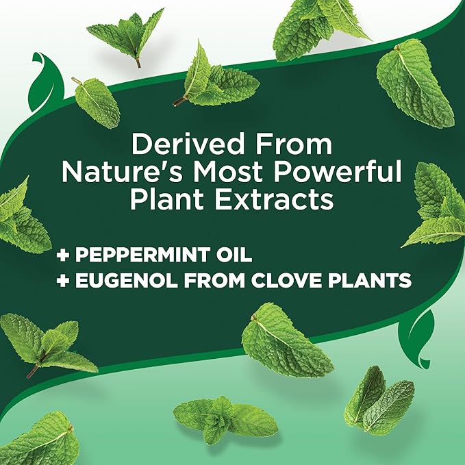 Vet's Best Natural Flea and Tick Home Spray, Dog Flea and Tick Treatment for Home, Plant-Based Flea and Tick Prevention, Dog Flea & Tick Control and Mosquito Repellent, Certified Natural Oils, 14 oz-Mewly Pet