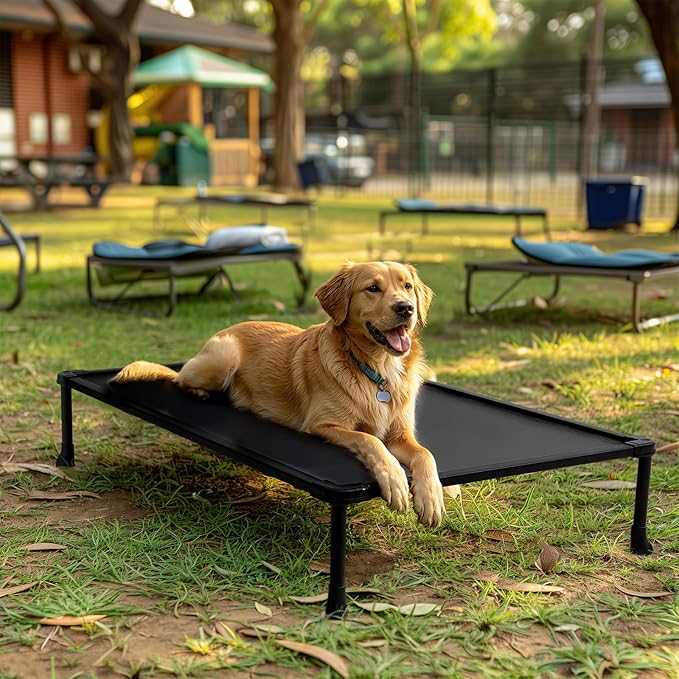 Veehoo Chew-Proof Elevated Dog Bed, Durable Training Platform for Large Dogs, Indoor/Outdoor Raised Pet Cot, Black, 41x27inches, Model CWC2420CP-Mewly Pet
