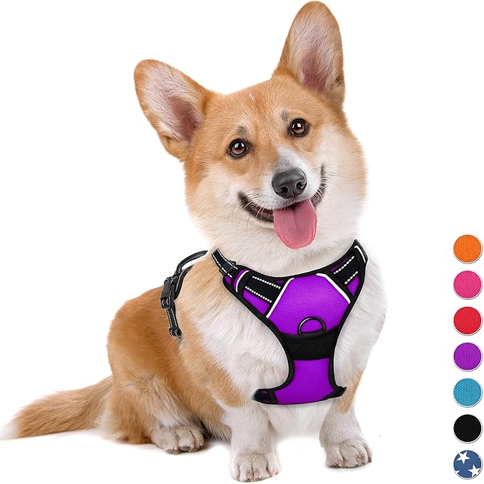 BARKBAY No Pull Dog Harness Large Step in Reflective Dog Harness with Front Clip and Easy Control Handle for Walking Training Running(Purple,M)-Mewly Pet