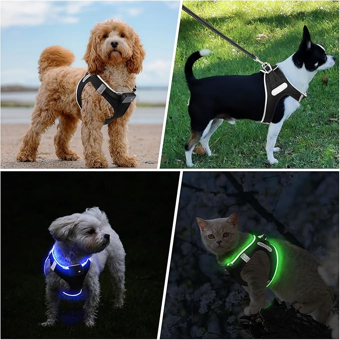 PceoTllar Light Up Dog Harness, LED No Pull Reflective Dog Harness, Flashing Lighted for Night Walking - Small/Medium (Black Blue,s)-Mewly Pet