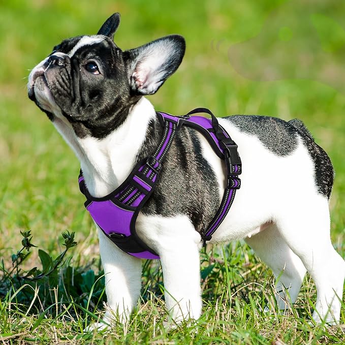 Eagloo Dog Harness Small Sized Dog, No Pull Service Vest with Reflective Strips and Control Handle, Adjustable and Comfortable for Walking, No Choke Pet Harness with 2 Metal Rings, Purple, S-Mewly Pet