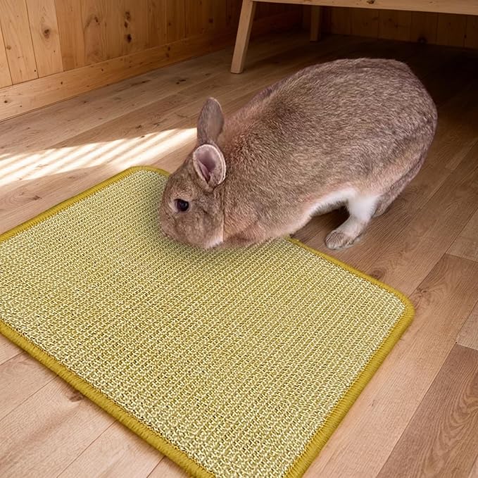 DYAUS Bunny Scratch Pads, Natural Sisal Rabbit Scratching Mats for Claws and Teeth Care, Indoor Bunny Chew Toys Bunny Bed for Biting Sleeping Nesting (3PCS, 16x12in)-Mewly Pet