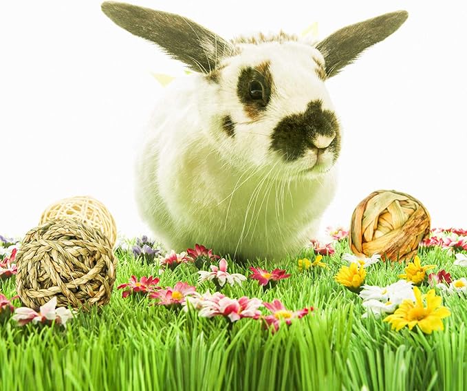 9 Pcs Small Animals Play Balls Rolling Activity Chew Toys Gnawing Treats for Rabbits Guinea Pigs Chinchilla Bunny Natural Balls, Pet Cage Entertainment Accessories (9 Pcs)-Mewly Pet