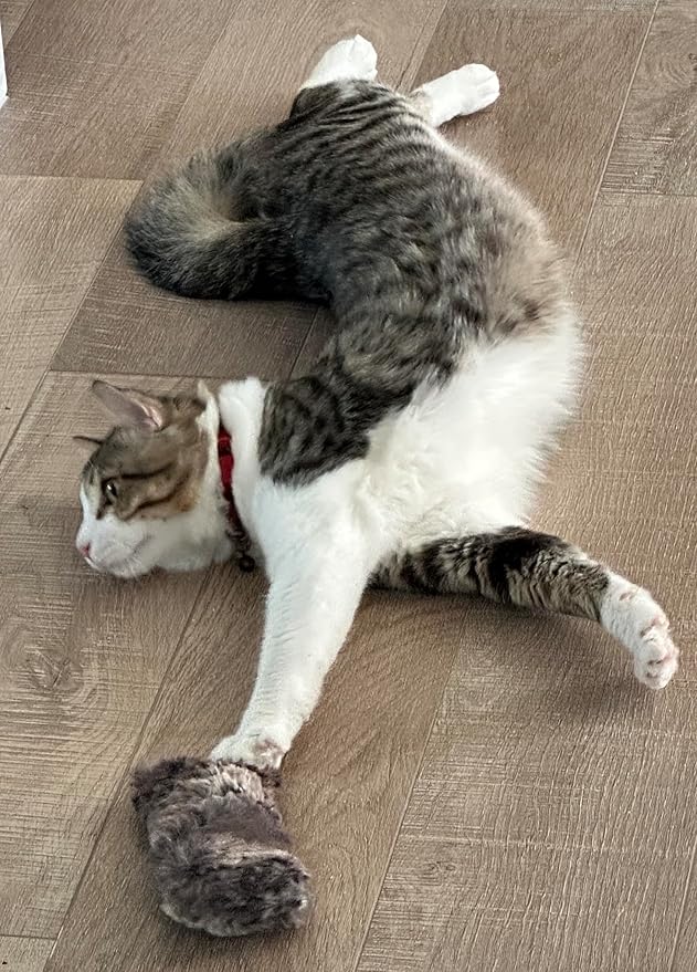 Refillable Kitty Crinkle Furry Catnip Toy-Mewly Pet