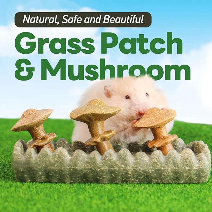 TEEWY 4PCS Guinea Pig Chew Toys, Prevent Teeth Overgrowth, Natural Vegetables and Timothy Grass, Hamster Chew Toys, Guinea Pig Toys, Chinchilla Toys, Grass Patch & Mushrooms-Mewly Pet