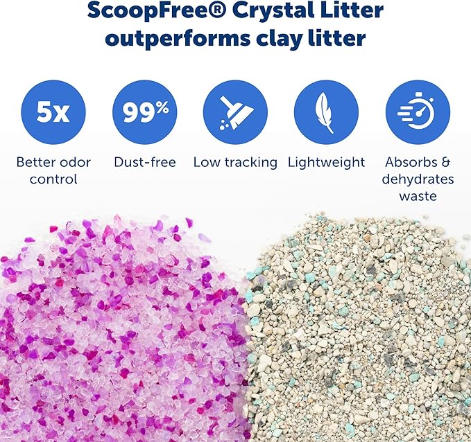 PetSafe ScoopFree Disposable Crystal Cat Litter Tray - Easy Cleaning Box - Refill Tray for Electric Litter Box - Lavender Scent - 4.3 lb Bags - 6 Pack-Mewly Pet