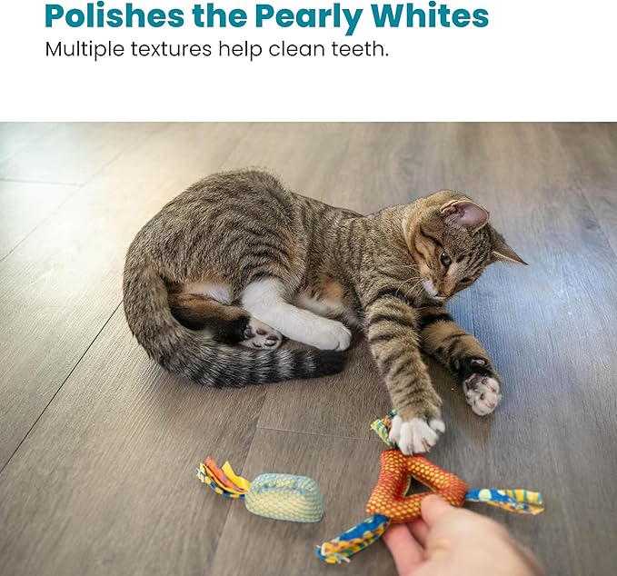 Petstages Dental Health Chews Pair-Mewly Pet