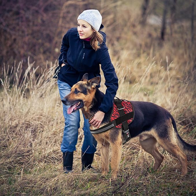 Dogline Dog Harness, Reflective No-Pull Adjustable Vest with Handle for Walking, Training, Breathable, No - Choke Harness for Small, Medium or Large Dogs Room for Patches Zebra Black/Red M 22"-28"-Mewly Pet