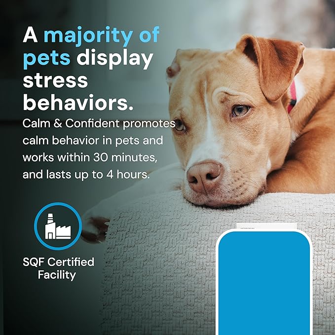 VETRISCIENCE Veterinary Strength Calm & Confident Chews - Stress Supplement for Pets - Supports Brain Function for Cats & Dogs - with L-Theanine, Thiamine & More - 60 Count-Mewly Pet