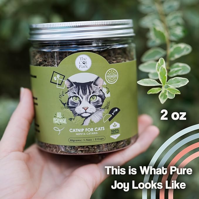 Organic Catnip for Cats & Kittens – 1.76 oz Premium Natural Catnip, High Potency Blend for Playtime, Training, and Stress Relief, 2 Cups of Dried Cat Nip Leaves-Mewly Pet