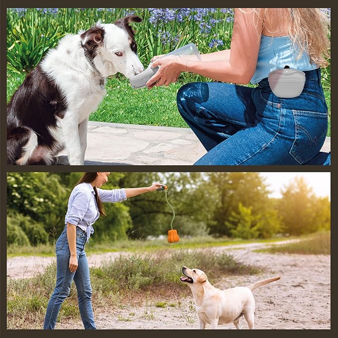 Ultimate Dog Walk & Train Kit - Silicone Dog Treat Pouch - Tug Ball - Portable Water Bottle for Dogs - Ideal Gift for First Time Pet Owners - Training Pouch-Mewly Pet