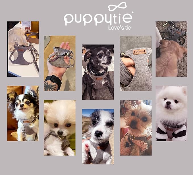 Puppytie No Pull XXS Puppy Harness with Multifunction Dog Leash,Soft Adjustable No Choke Escape Proof Pet Harness Vest,Silver Grey,XXS-Mewly Pet