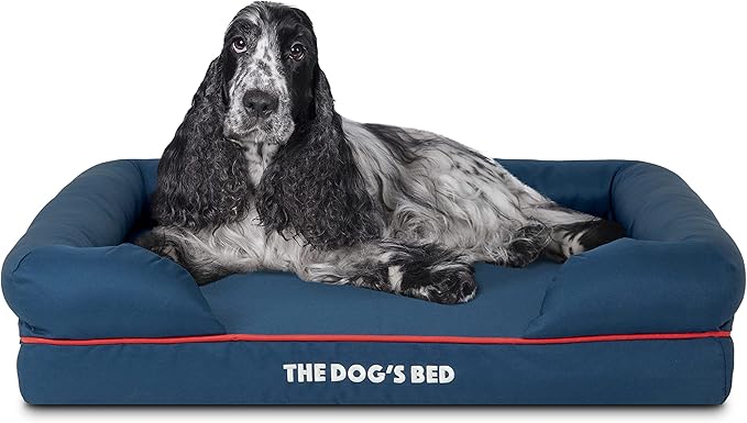 The Dog’s Bed, Medium Blue/Red 30x23.5, Memory Foam, Pain Relief: Arthritis, Hip & Elbow Dysplasia, Post Surgery, Lameness, Supportive, Calming, Waterproof Washable Cover, Veterinary Approved-Mewly Pet