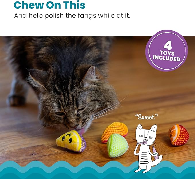 Catstages Dental Fruit Wedges 4 Pk, Soft and Textured Catnip Chew Toys That Help Clean Teeth, Multicolored-Mewly Pet