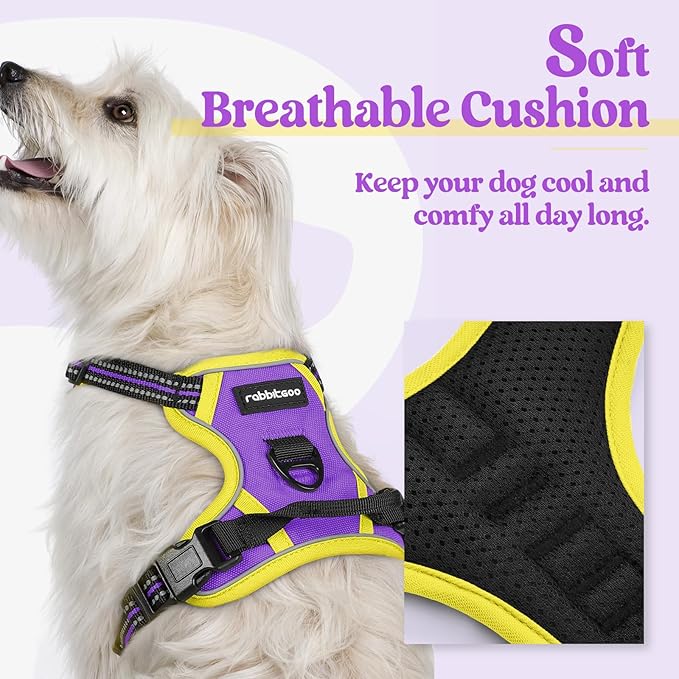 rabbitgoo Dog Harness No Pull with 2 Leash Clips, Adjustable Soft Padded, Reflective Oxford No Choke Pet Vest with Easy Control Handle for Puppy, Purple & Yellow, XS-Mewly Pet